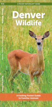 Image for Denver Wildlife : A Folding Pocket Guide to Familiar Animals