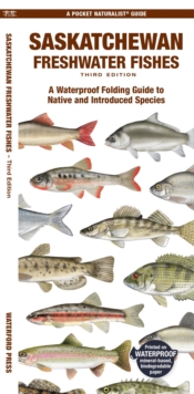 Image for Saskatchewan Freshwater Fishes