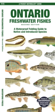 Image for Ontario Freshwater Fishes : A Waterproof Folding Guide to Native and Introduced Species