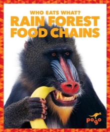 Image for Rain forest food chains