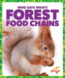 Image for Forest Food Chains