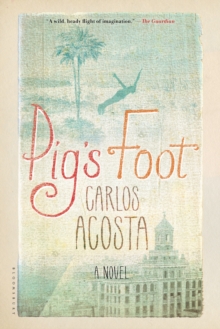 Image for Pig's foot: a novel