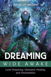 Image for Dreaming Wide Awake