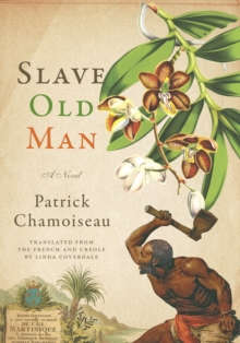 Image for Slave Old Man: A Novel