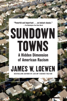 Image for Sundown towns  : a hidden dimension of American racism