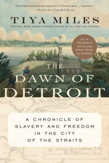Dawn Of Detroit