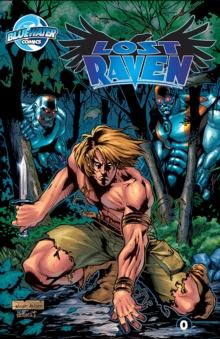 Image for Lost Raven