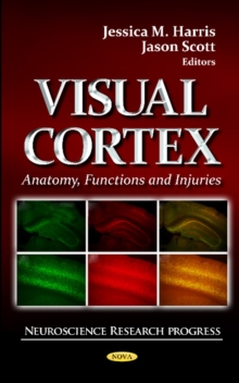 Image for Visual Cortex