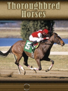 Image for Thoroughbred horses