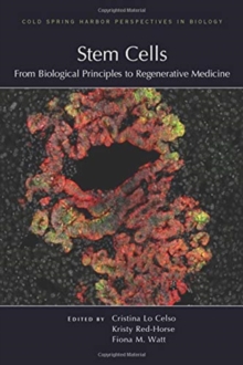 Image for Stem cells  : from biological principles to regenerative medicine