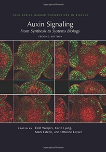 Image for Auxin Signaling: From Synthesis to Systems Biology, Second Edition