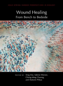 Image for Wound Healing: From Bench to Bedside