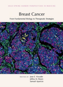 Image for Breast Cancer: From Fundamental Biology to Therapeutic Strategies