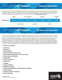 Image for ICD-10-PCS 2017 Snapshot Coding Cards