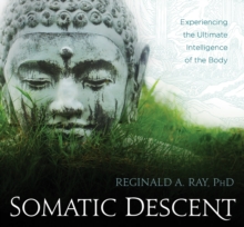 Image for Somatic descent  : experiencing the ultimate intelligence of the body