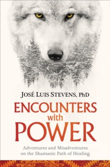 Image for Encounters with power  : adventures and misadventures on the Shamanic path of healing