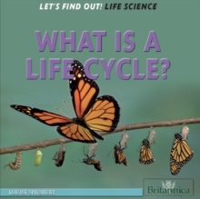 Image for What is a life cycle?