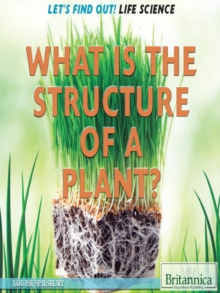 Image for What Is the Structure of a Plant?