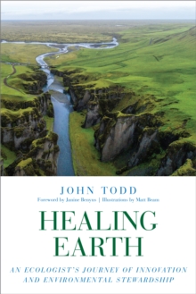 Image for Healing Earth