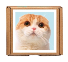 Waffles the Cat GreenGift-Notes