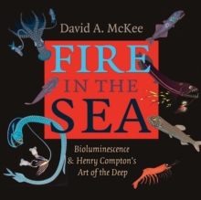 Image for Fire in the Sea : Bioluminescence and Henry Compton's Art of the Deep