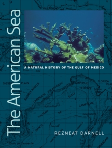 Image for The American sea: a natural history of the Gulf of Mexico