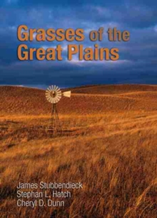 Image for Grasses of the Great Plains