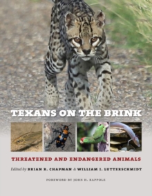 Image for Texans on the Brink : Threatened and Endangered Animals