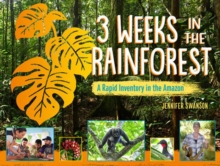 Image for 3 Weeks in the Rainforest