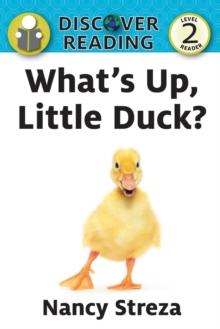 Image for What's Up Little Duck