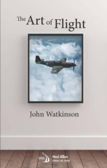 Art of Flight
