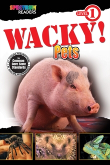 Image for Wacky! Pets: Level 1