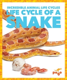 Image for Life cycle of a snake