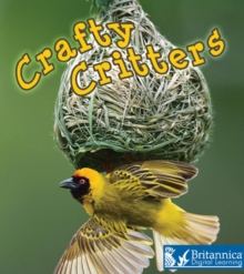 Image for Crafty Critters