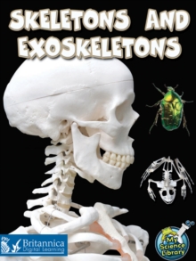 Image for Skeletons and exoskeletons
