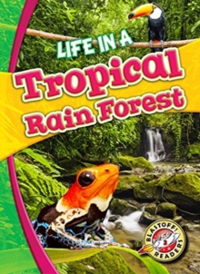Image for Life in a tropical rain forest