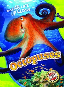 Image for Octopuses