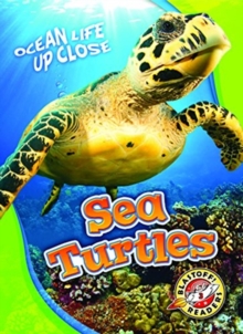 Image for Sea Turtles