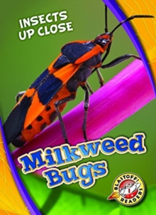 Image for Milkweed Bugs