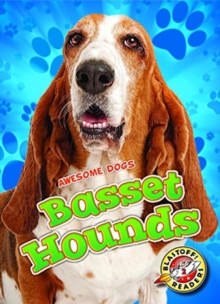 Image for Basset hounds