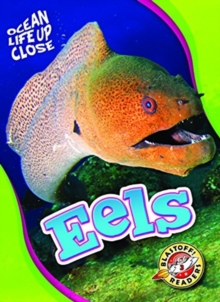 Image for Eels