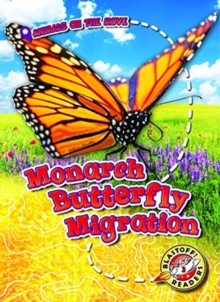 Image for Monarch Butterfly Migration