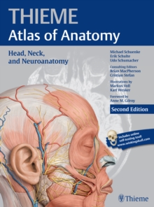 Image for Head, Neck, and Neuroanatomy (THIEME Atlas of Anatomy)