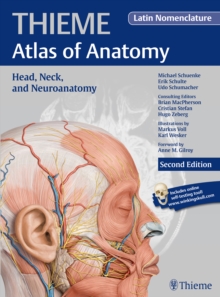 Image for Head, neck, and neuroanatomy  : latin nomenclature