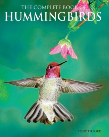 Image for The Complete Book of Hummingbirds