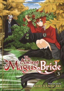 Image for The ancient magus' brideVol. 3