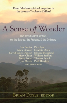 Image for A sense of wonder  : the world's best writers on the sacred, the profane, and the ordinary