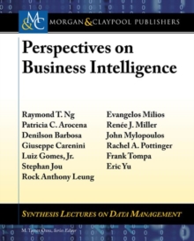 Image for Perspectives on Business Intelligence