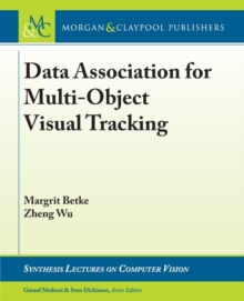 Image for Data Association for Multi-Object Visual Tracking