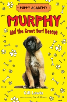 Image for Murphy and the Great Surf Rescue